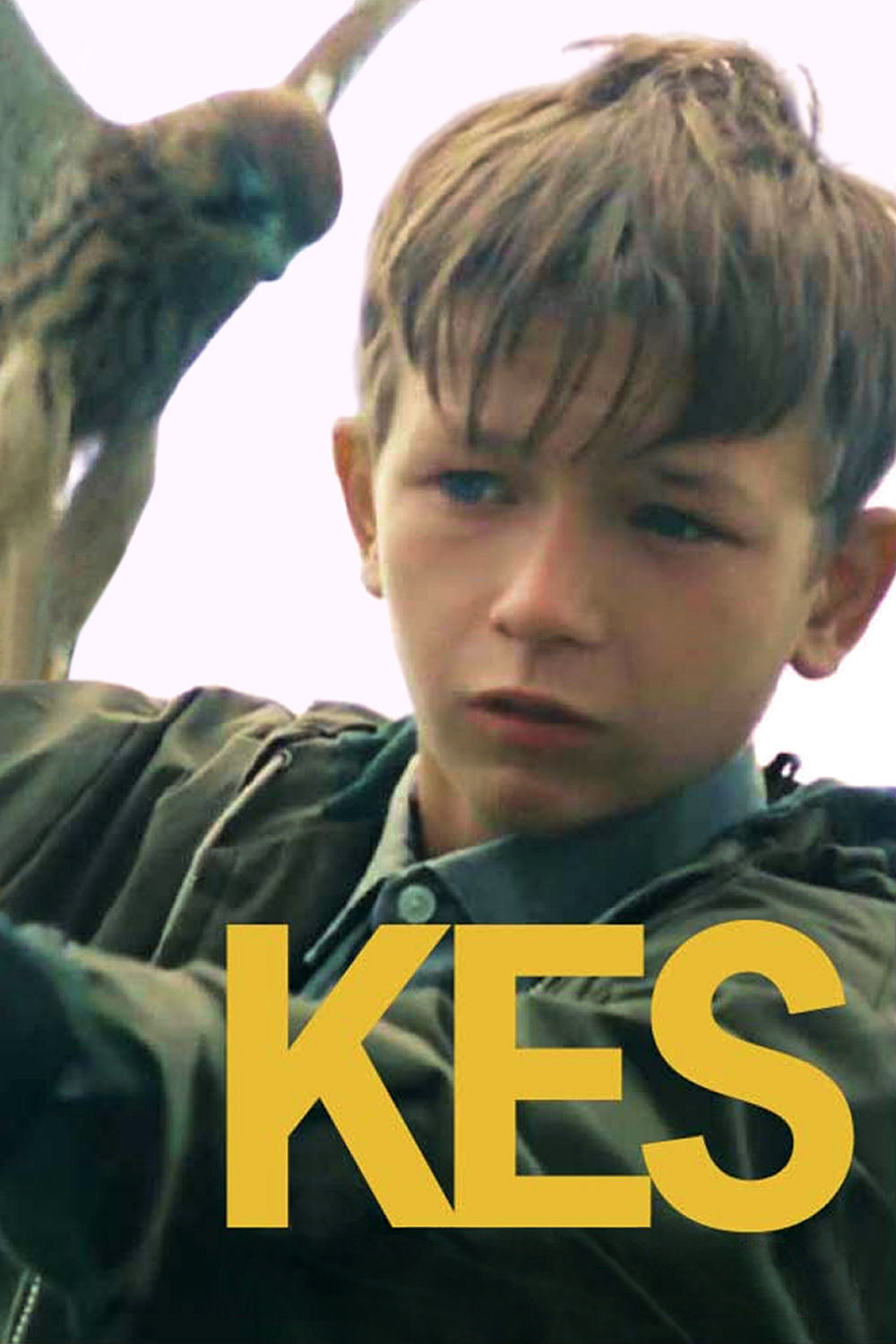 دانلود دوبله فارسی فیلم قوش Kes 1969
